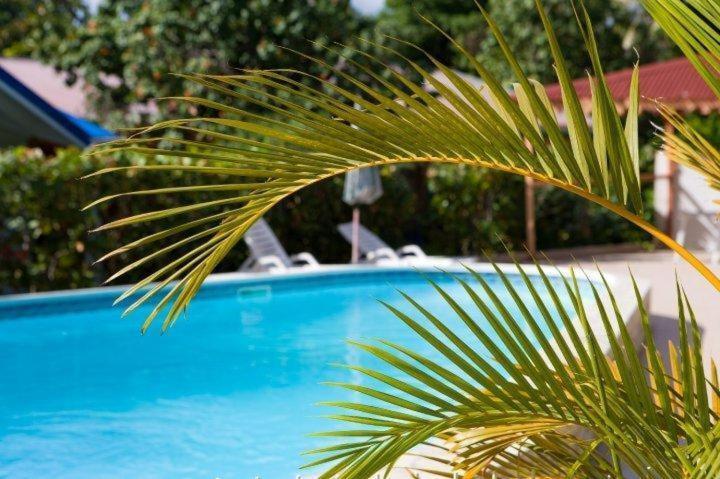 Hotel Le Rotabas 상트 안느 외부 사진